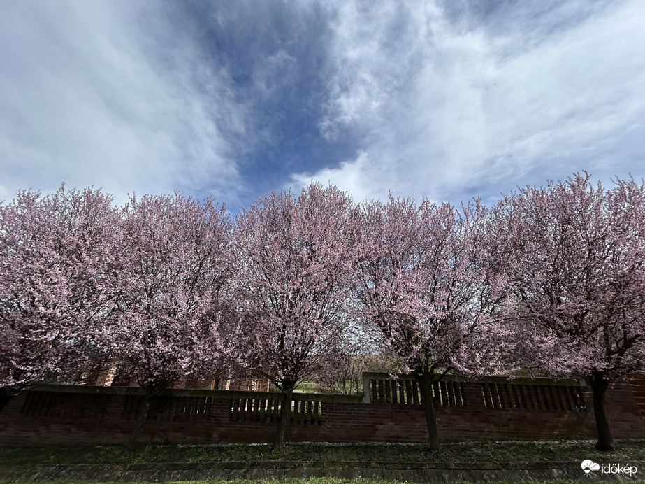 Hirtelen jött tavasz