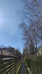 Szentes