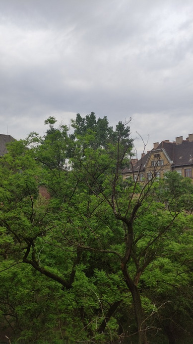 Budapest IX. ker