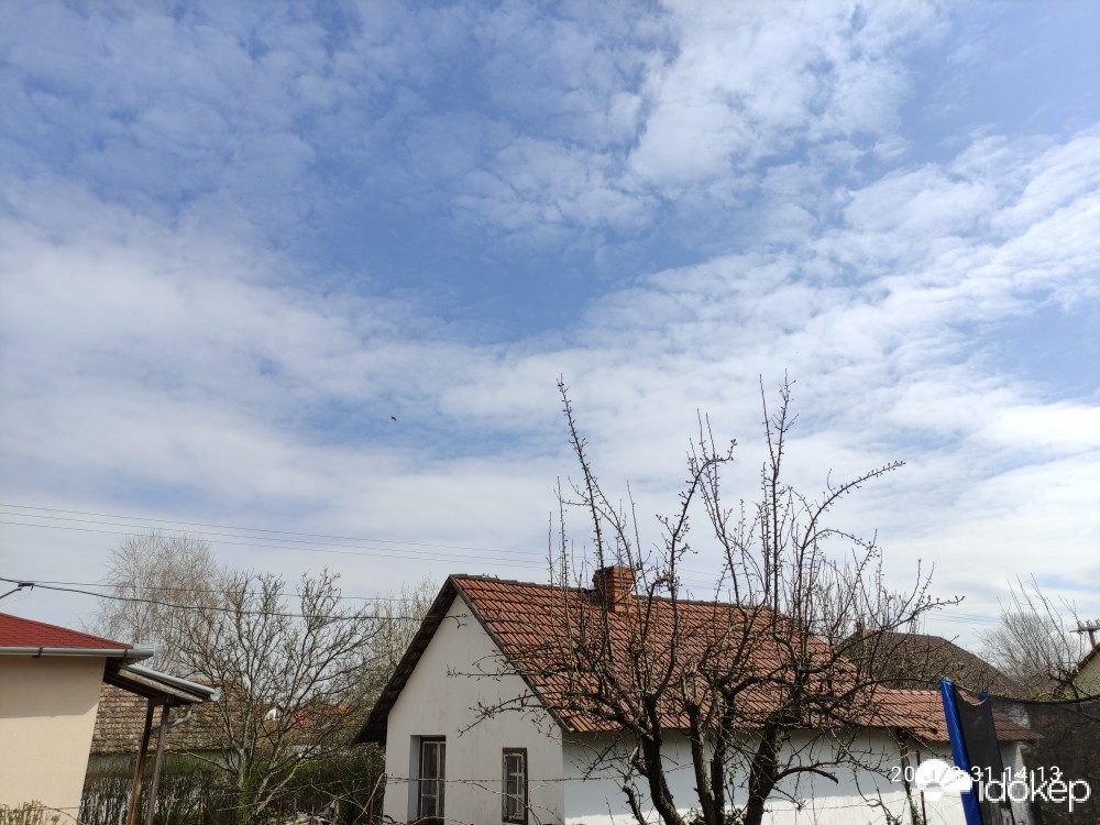 Szentes