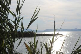 Balatonlelle