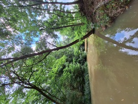 Túr folyó