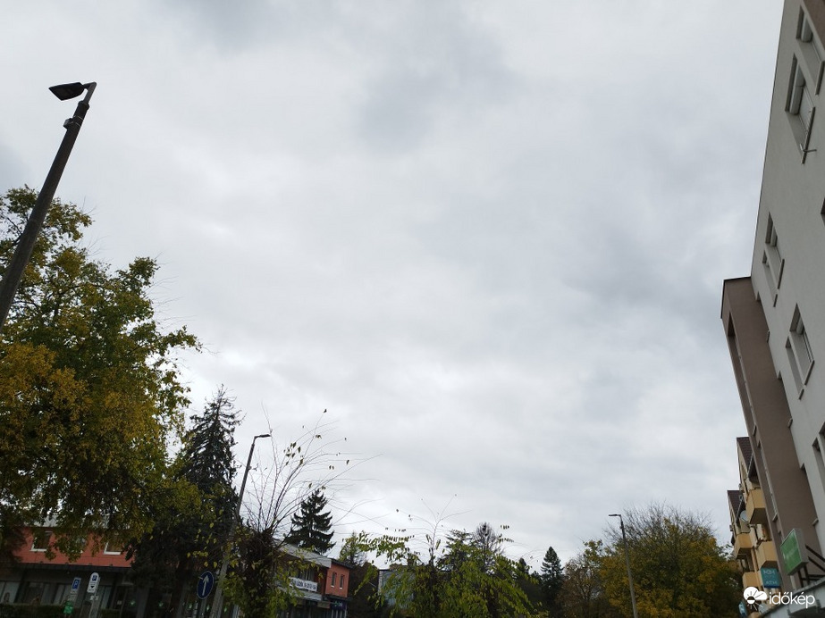 Tamási