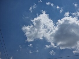Ajka