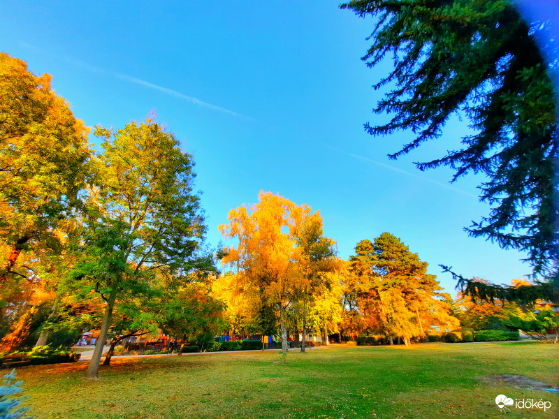 Őszi színek kék éggel. 