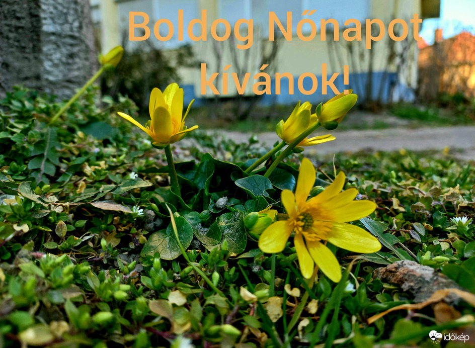 Boldog Nőnapot kívánok! :))