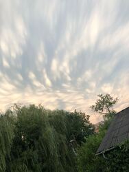 Nyíregyháza