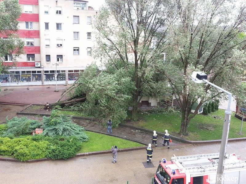 Mezőkövesd