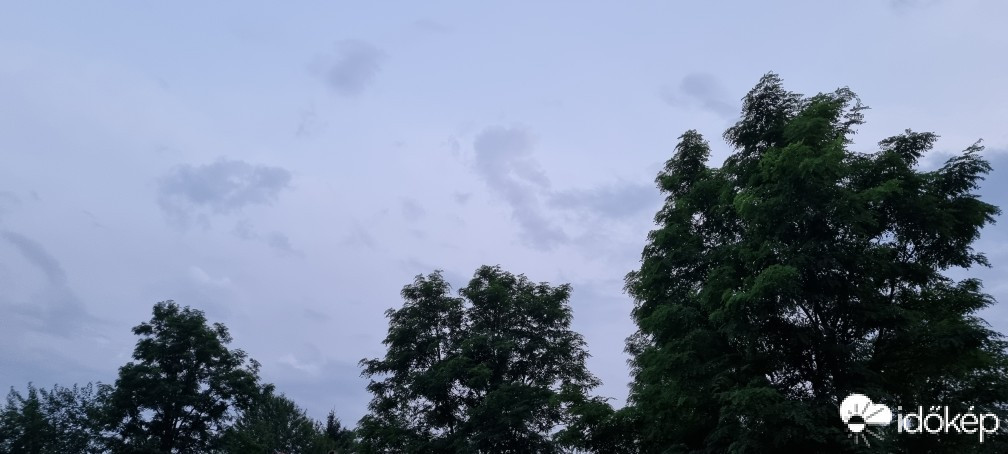 Terény