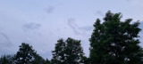 Terény