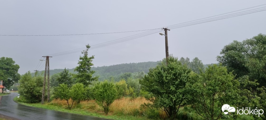 Terény