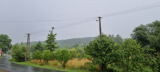 Terény