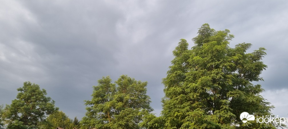 Terény
