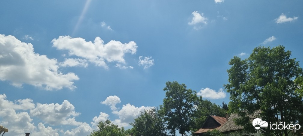 Terény