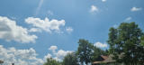 Terény
