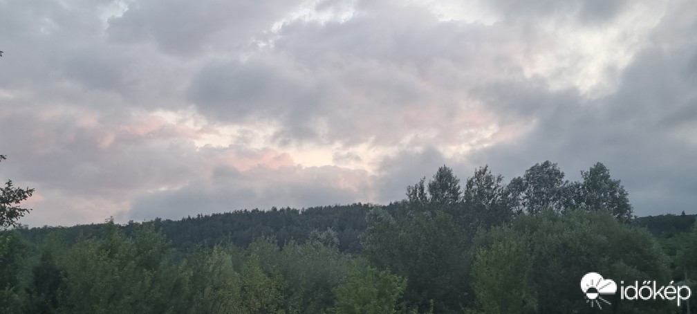 Terény