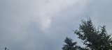 Terény