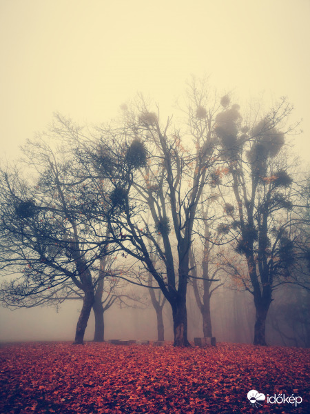 Hajnali ködben 
