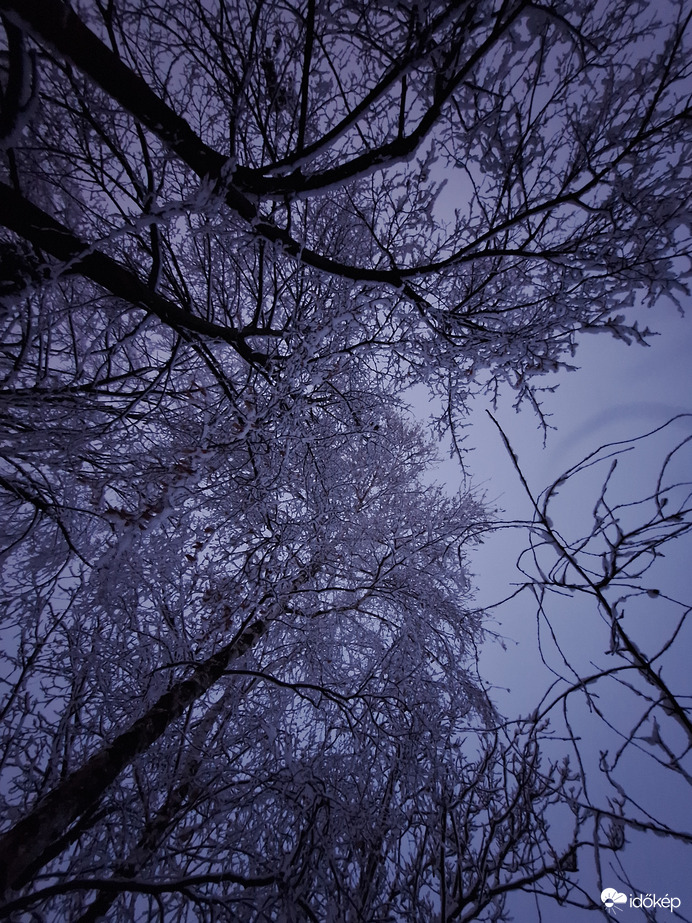 Oroszlány
