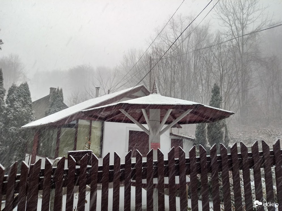 Rókafarm február utolsó napján