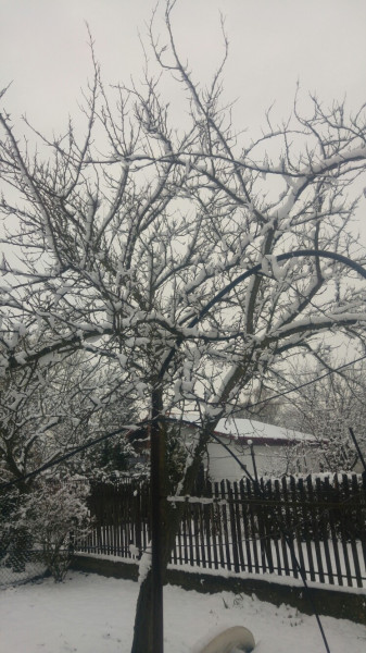 Ráckeve