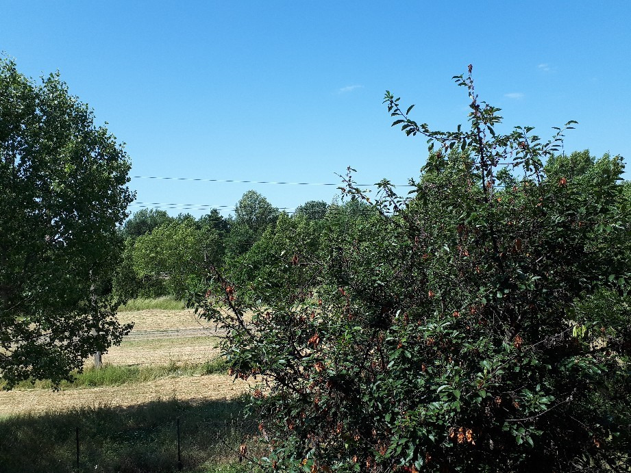 Vác