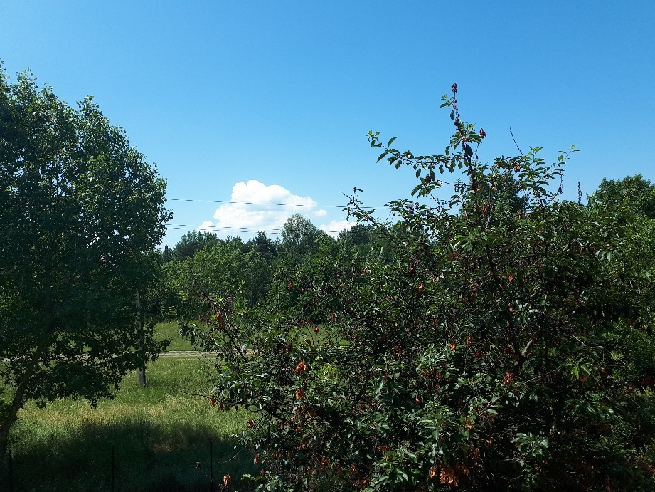 Vác