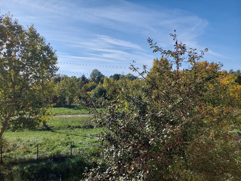 Vác