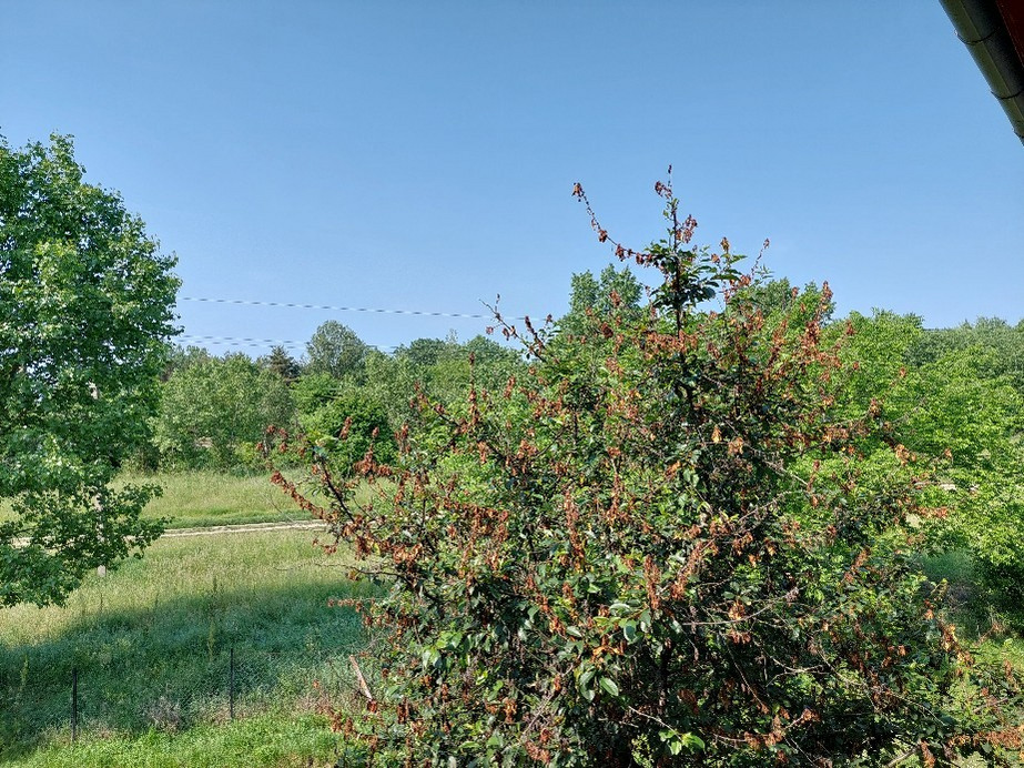 Vác
