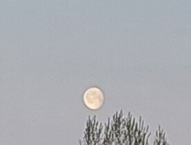 Vác