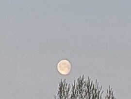Vác