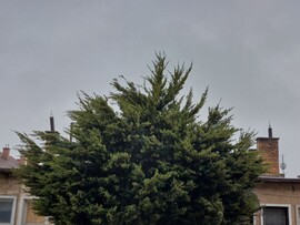 Vác