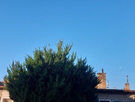 Vác