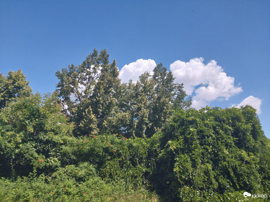Vác
