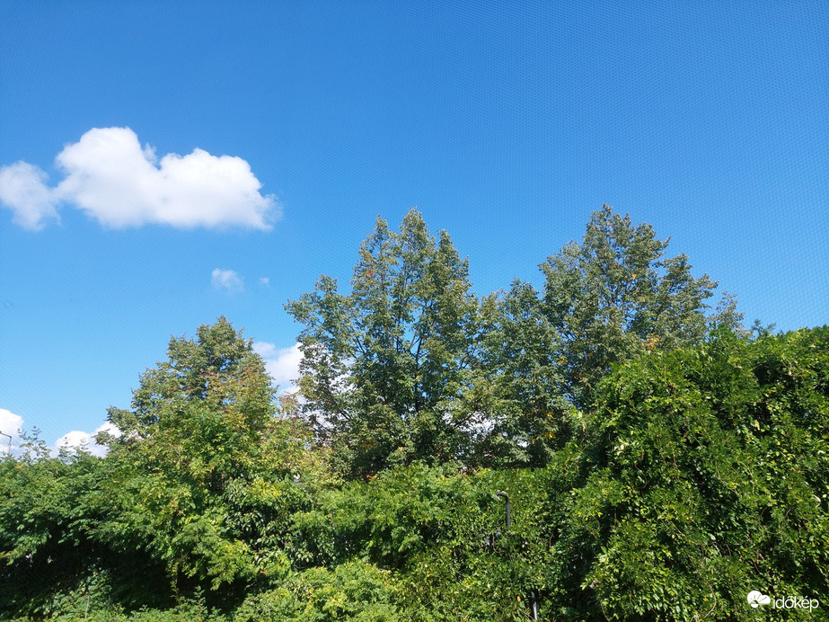 Vác