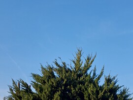 Vác