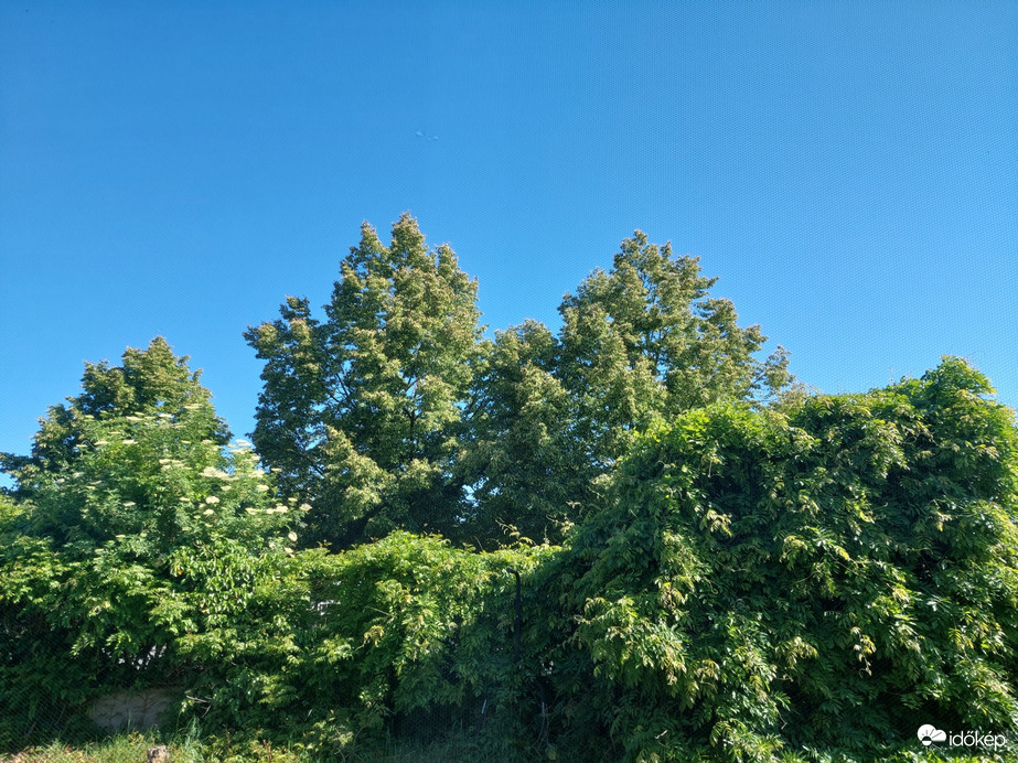 Vác