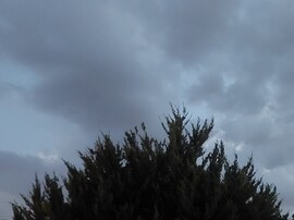 Vác