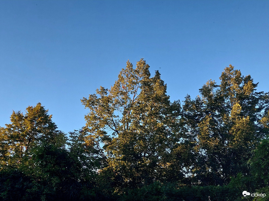 Vác