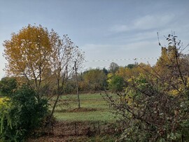 Vác