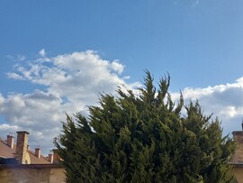 Vác