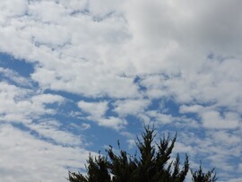 Vác