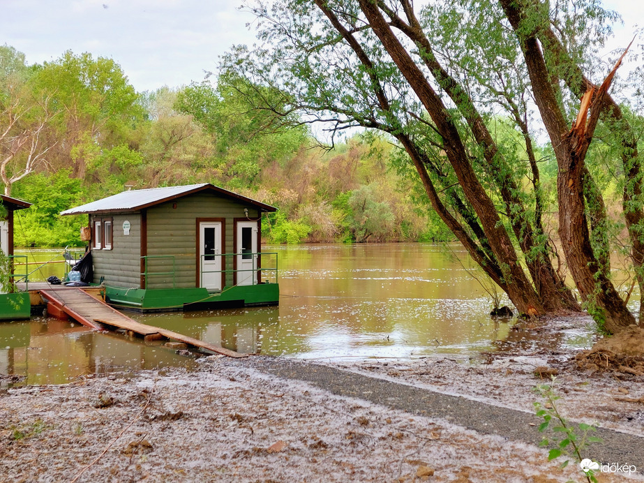 Tiszaörvény