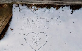 zivataranyu fotója