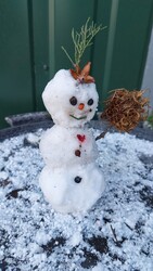 Kicsit rozoga, kicsit szutykos