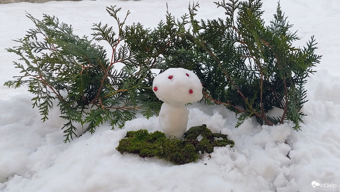 Galóca téli változatban