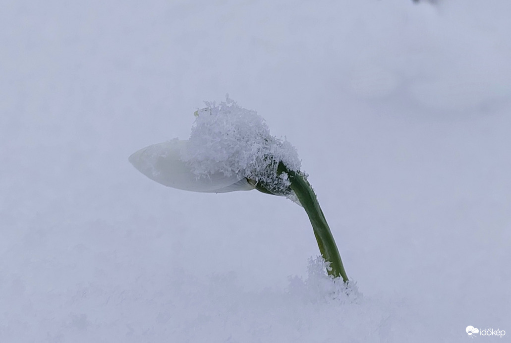 Hóból is megárt a sok