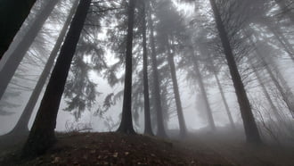 Napok óta nem tágít