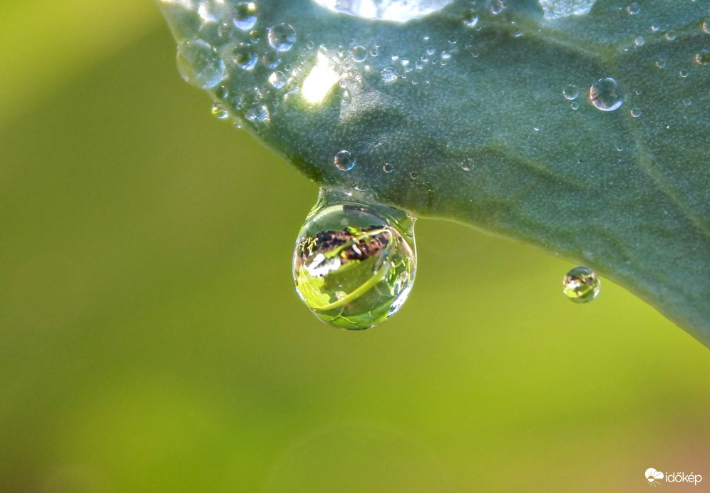 A víz világnapjára