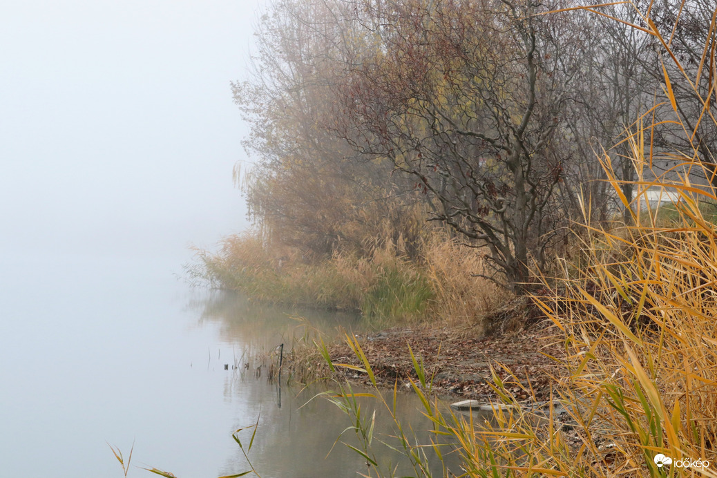 Ködbe veszett kedvencünk